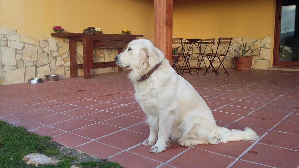 La Vecchia Stalla B&B Narni Luaran gambar