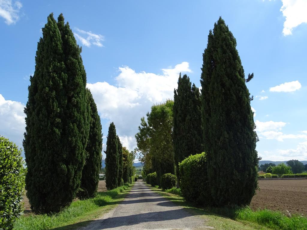La Vecchia Stalla B&B Narni Luaran gambar